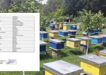 Publikohet lista – Këta janë 140 personat që përfituan shoqëri bletësh në Podujevë
