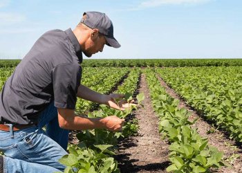 Pse ata që merren me bujqësi janë njerëzit më të lumtur?