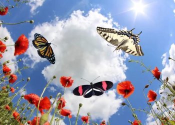 Moti nesër dhe ditëve në vazhdim! (06.04.2022.) E Mërkurë