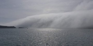 Një “cunami” reshë përfshin qytetin brenda pak sekondash