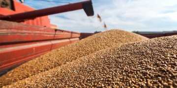 Lufta në Ukrainë: A mund ta ushqejë India botën?