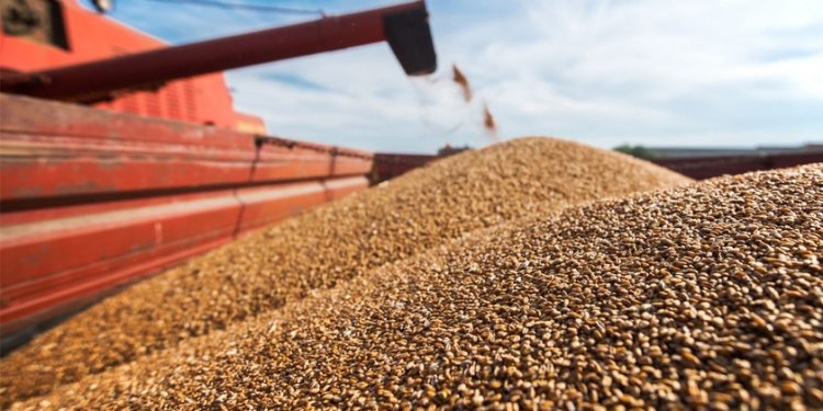 Lufta në Ukrainë: A mund ta ushqejë India botën?