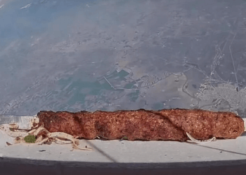 Turqia dërgon qebapin e parë në hapësirë
