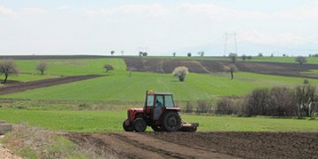 Eksperti bujqësor: Toka që s’punohet duhet t’i kthehet shtetit
