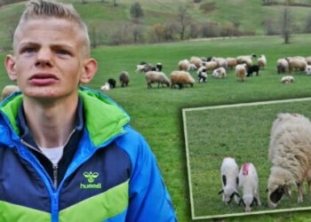 Bariu i ri boshnjak: Çfarë Gjermanie, le të shkojë kush të dojë, unë do të ruaj delet deri në fund të jetës