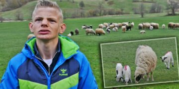 Bariu i ri boshnjak: Çfarë Gjermanie, le të shkojë kush të dojë, unë do të ruaj delet deri në fund të jetës