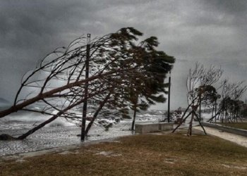 Stuhitë “pushtojnë” Vlorën, bashkia paralajmëron qytetarët