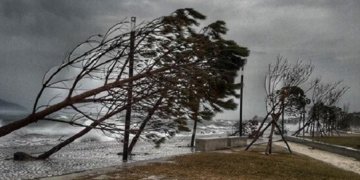 Stuhitë “pushtojnë” Vlorën, bashkia paralajmëron qytetarët