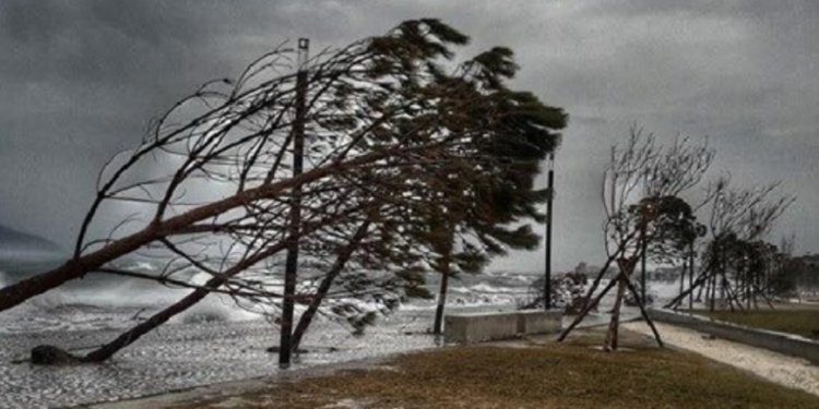 Stuhitë “pushtojnë” Vlorën, bashkia paralajmëron qytetarët