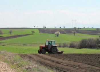 Njoftim me rëndësi për bujqit: Nga kjo datë fillon aplikimi për pagesat për subvencionim