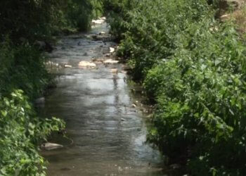 Pamje të tmerrshme: Lumi në fshatin e Gjilanit mbushet me gjak nga therja e kafshëve
