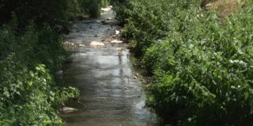 Pamje të tmerrshme: Lumi në fshatin e Gjilanit mbushet me gjak nga therja e kafshëve