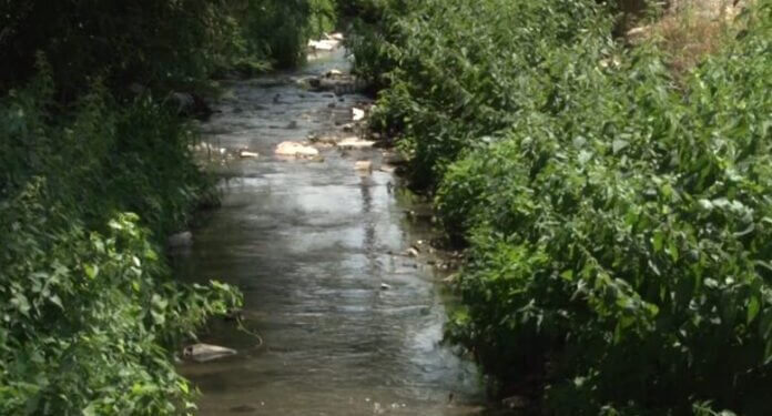 Pamje të tmerrshme: Lumi në fshatin e Gjilanit mbushet me gjak nga therja e kafshëve