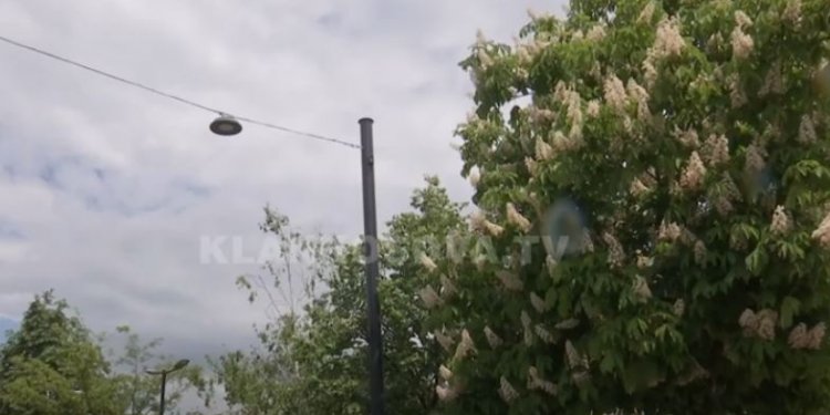 Skenderaj bëhet me trembëse të sorrave dhe brejtësve