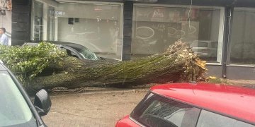 Druri gjigand që zuri dy persona në Prishtinë