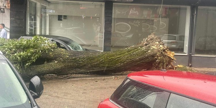 Druri gjigand që zuri dy persona në Prishtinë
