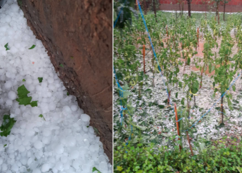 Breshri shkatërron kulturat bujqësore në Podujevë, banorët: Për vite nuk kemi parë diçka të tillë