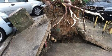 Furtunë e madhe në Shkup, dalin pamjet e para