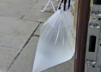 Zgjidhja e lehtë për të reduktuar numrin e insekteve në shtëpinë tuaj!