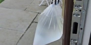 Zgjidhja e lehtë për të reduktuar numrin e insekteve në shtëpinë tuaj!