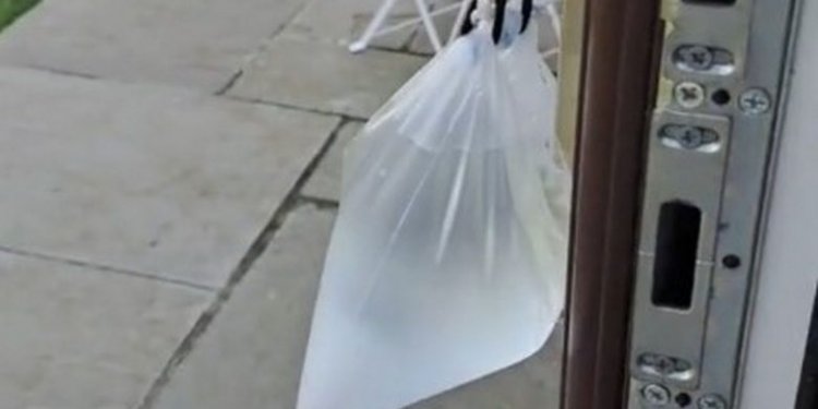 Zgjidhja e lehtë për të reduktuar numrin e insekteve në shtëpinë tuaj!