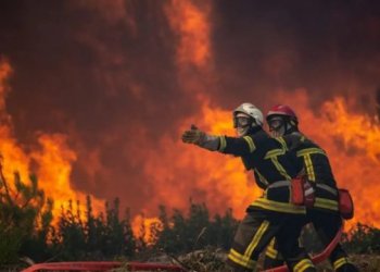 Evropa shënon rritje dramatike të zjarreve në pyje, 4-fish më shumë se mesatarja e 15 viteve