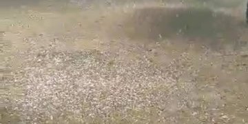 Destabilizohet moti, breshër, shi dhe erëra në shumë rajone!