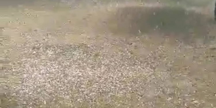 Destabilizohet moti, breshër, shi dhe erëra në shumë rajone!