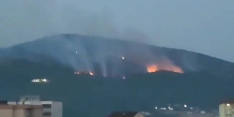 Disa vatra zjarri në rajonin e Mitrovices!