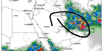 Shira të rrallë Korriku në Dubai dhe disa pjesë tjera të Lindjes së Mesme!