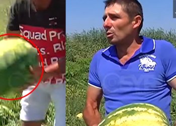 Mungesa e shitjes, fermeri shqiptar përplas shalqirin përtokë