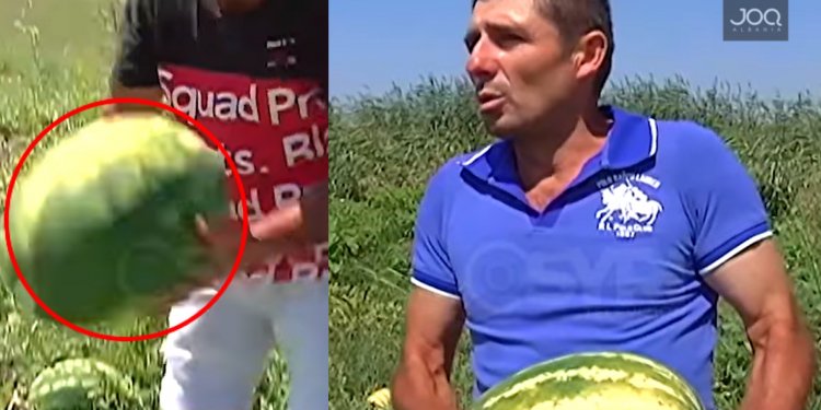 Mungesa e shitjes, fermeri shqiptar përplas shalqirin përtokë