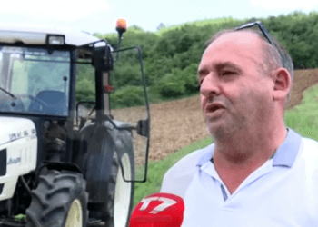 I vetëm u përball me ujkun, flet bujku nga Krusha e Madhe