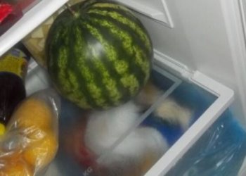 Pse nuk duhet ta fusim shalqirin në frigorifer