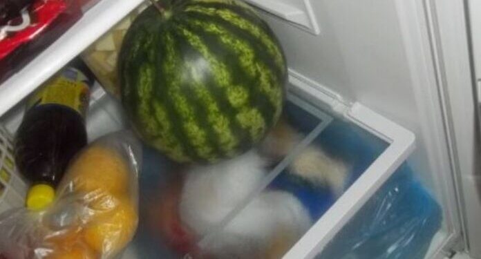 Pse nuk duhet ta fusim shalqirin në frigorifer
