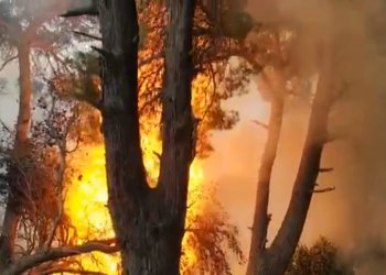 Izolohen 12 vatra, Ministria e Mbrojtjes bën bilancin e situatës së zjarreve në vend!