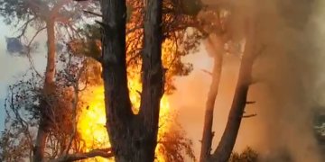 Izolohen 12 vatra, Ministria e Mbrojtjes bën bilancin e situatës së zjarreve në vend!