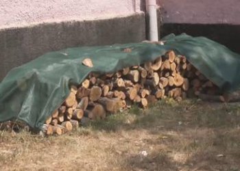 Dimër i vështirë, në Kukës ka mungesë dhe rritje të çmimit të druve të zjarrit!
