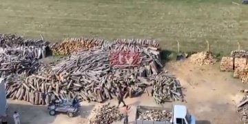 Ja si vidhen qytetarët në Kosovë gjatë blerjes së druve