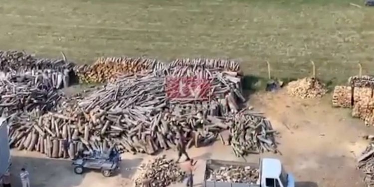 Ja si vidhen qytetarët në Kosovë gjatë blerjes së druve