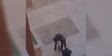 U filmua teksa vriste macen, gjykata shpall fajtor 59-vjeçarin!