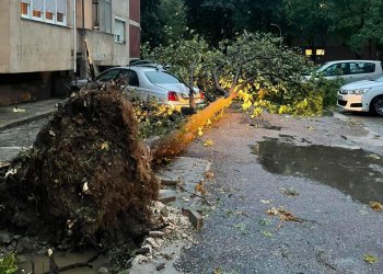 (VIDEO) Dëmet në Fushë Topanë, janë shkulur drunjë dhe kanë rënë mbi vetura!