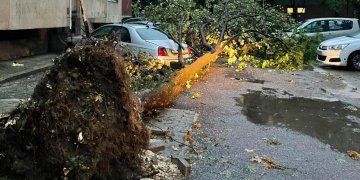 (VIDEO) Dëmet në Fushë Topanë, janë shkulur drunjë dhe kanë rënë mbi vetura!