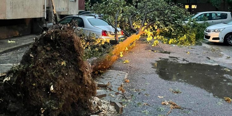 (VIDEO) Dëmet në Fushë Topanë, janë shkulur drunjë dhe kanë rënë mbi vetura!