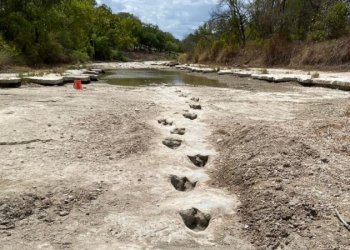 Thatësira zbulon gjurmë dinozauri 113 milionë vite të vjetra, dalin në sipërfaqe në shtratin e një lumi