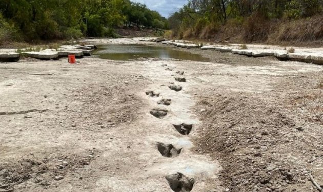 Thatësira zbulon gjurmë dinozauri 113 milionë vite të vjetra, dalin në sipërfaqe në shtratin e një lumi