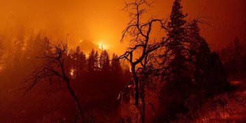 Zjarret shkrumbojnë Kaliforninë, 2 viktima, mijëra të evakuuar!