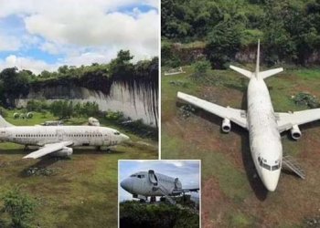 Misteri i avionit të braktisur në një fushë, askush nuk e di si arriti atje