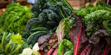 Perimet më të mira për shëndetin e trurit!