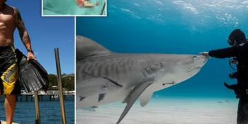 Zhytësi profesionist përshkruan momentin kur humbi këmbën e dorën nga sulmi i parë i peshkaqenit